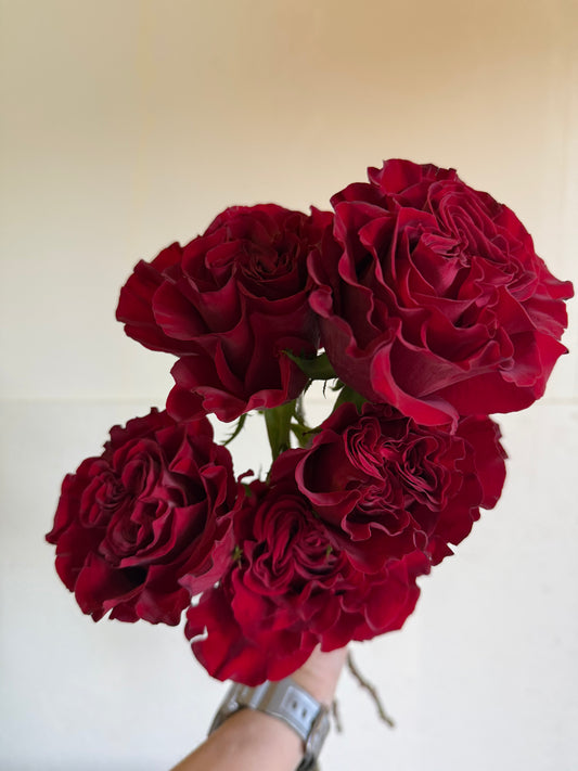 Heart roses