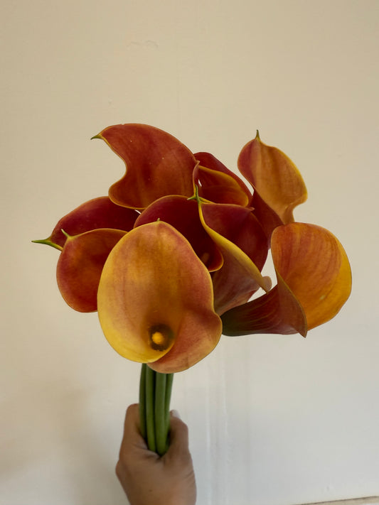 Mini calla mango